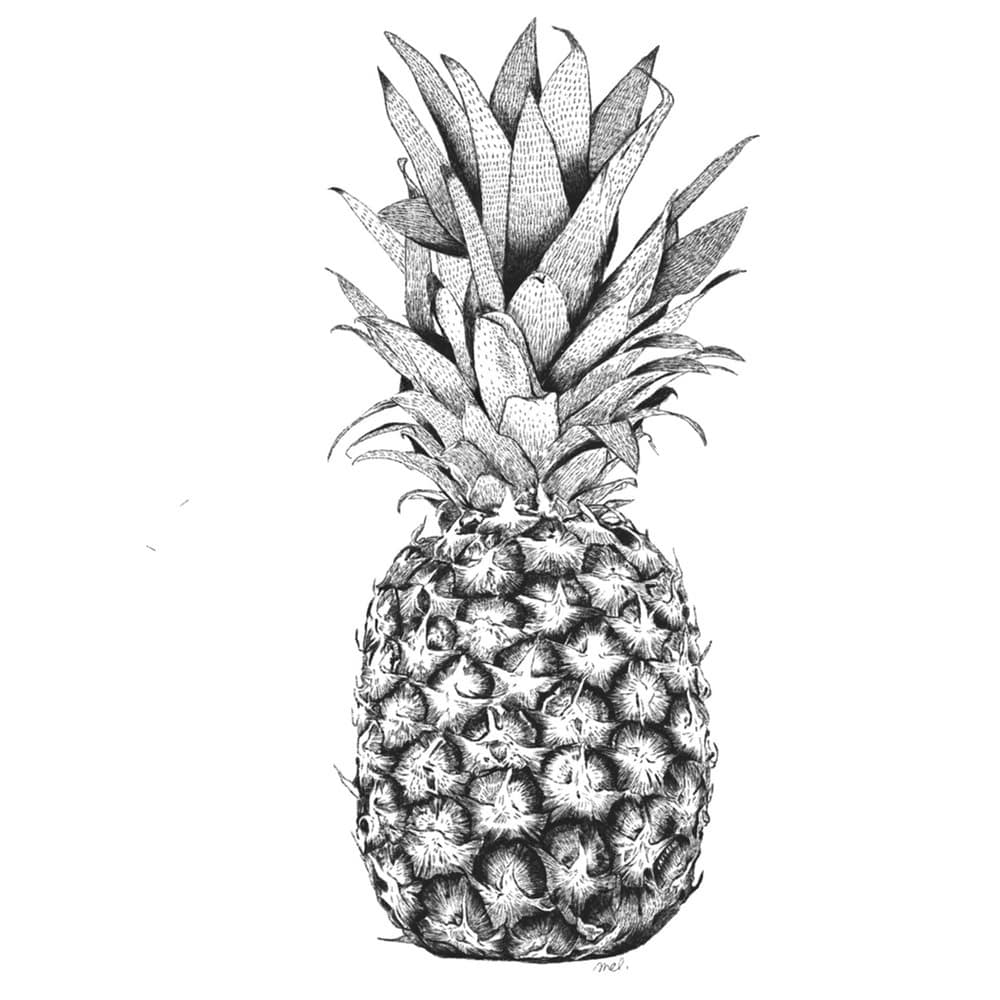 carte postale ananas minimel little marmaille carte postale ananas minimel little marmaille