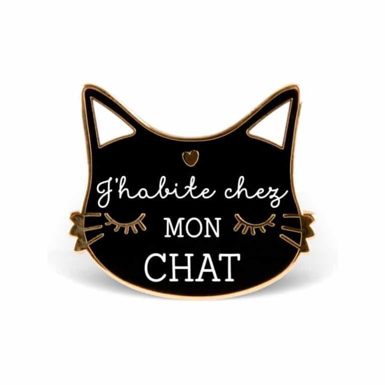creabisontine_pin-s-j-habite-chez-mon-chat