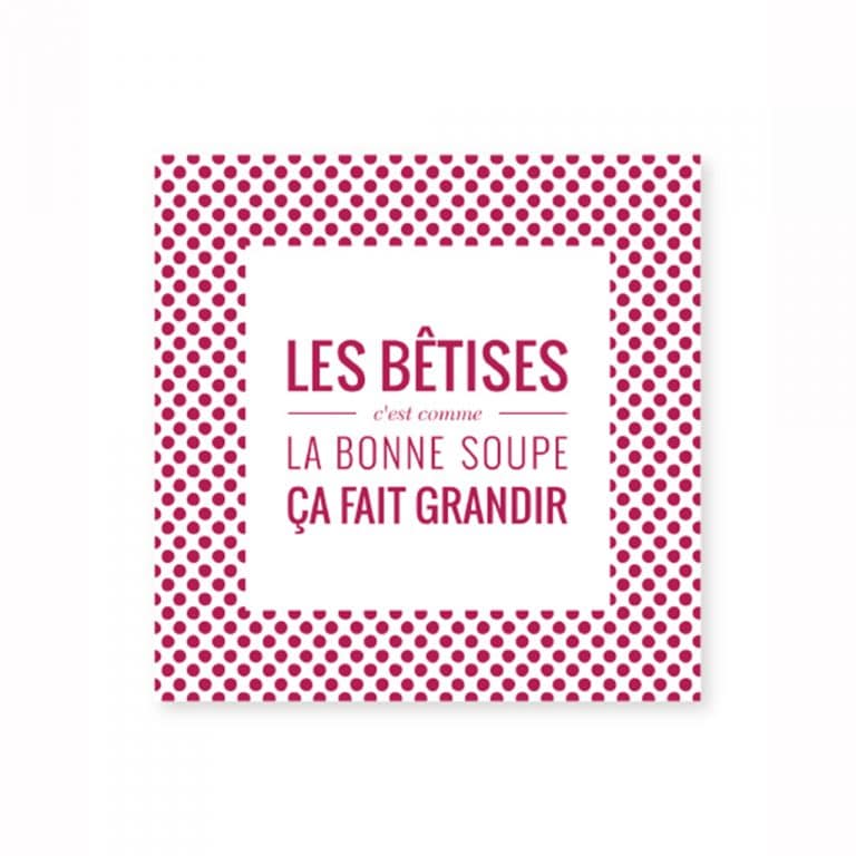 ouistiti-paris_carte-les-betises-cest-comme-la-bonne-soupe-ca-fait-grandir-dicton