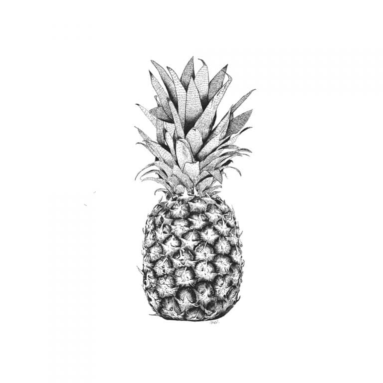 minimel_illustration-ananas