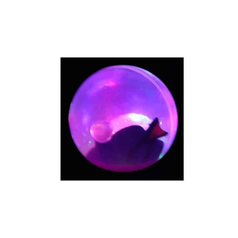 balle rebondissante poisson