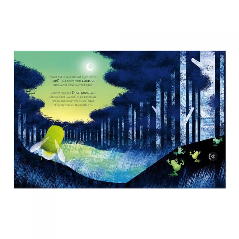 sassi_livre-dans-la-foret2