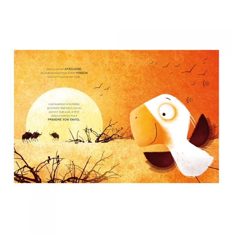 sassi_livre-dans-la-savane2