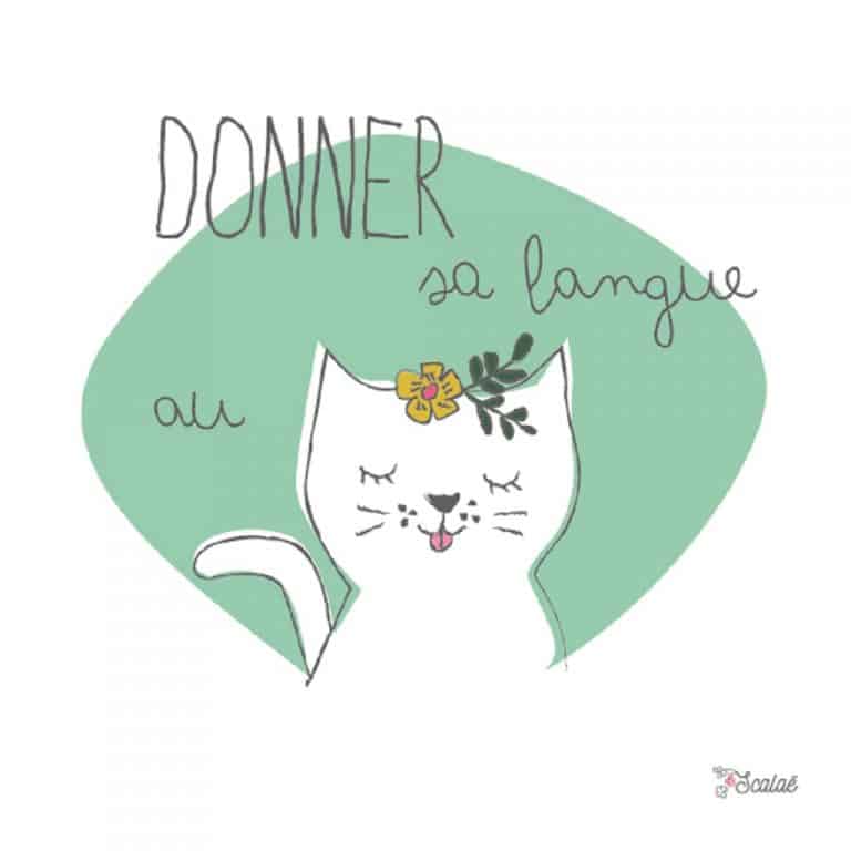 Donner Sa Langue Au Chat En Anglais