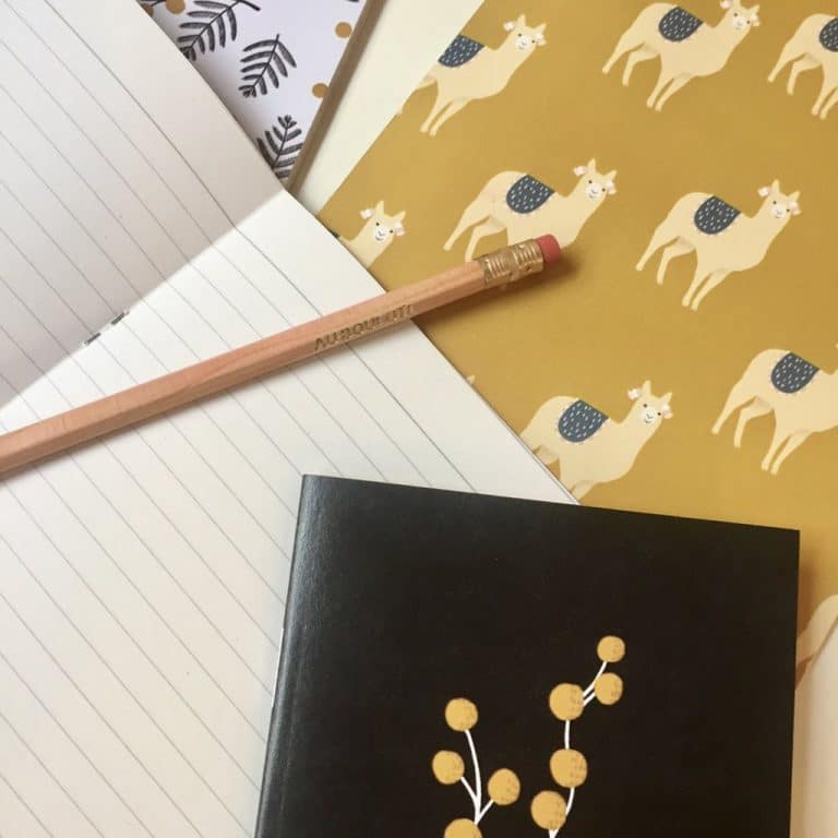 minimel_petit-carnet-de-notes-mimosa2