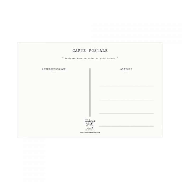 tendrement-fe_carte-le-golfe-du-morbihan2