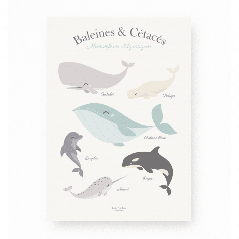 lutin-petit-pois_affiche-baleines-et-cetaces