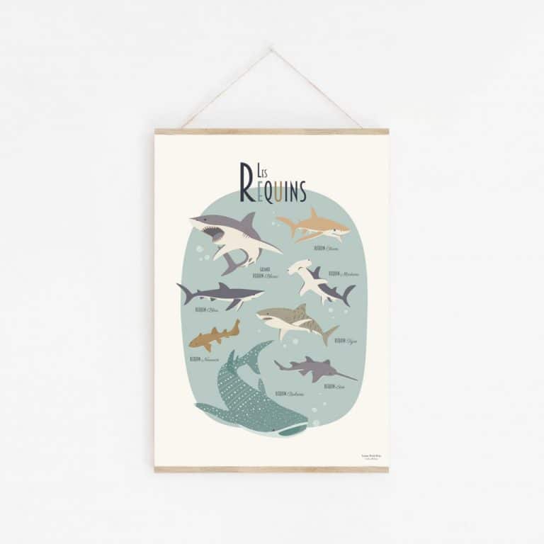 lutin-petit-pois_affiche-les-requins2