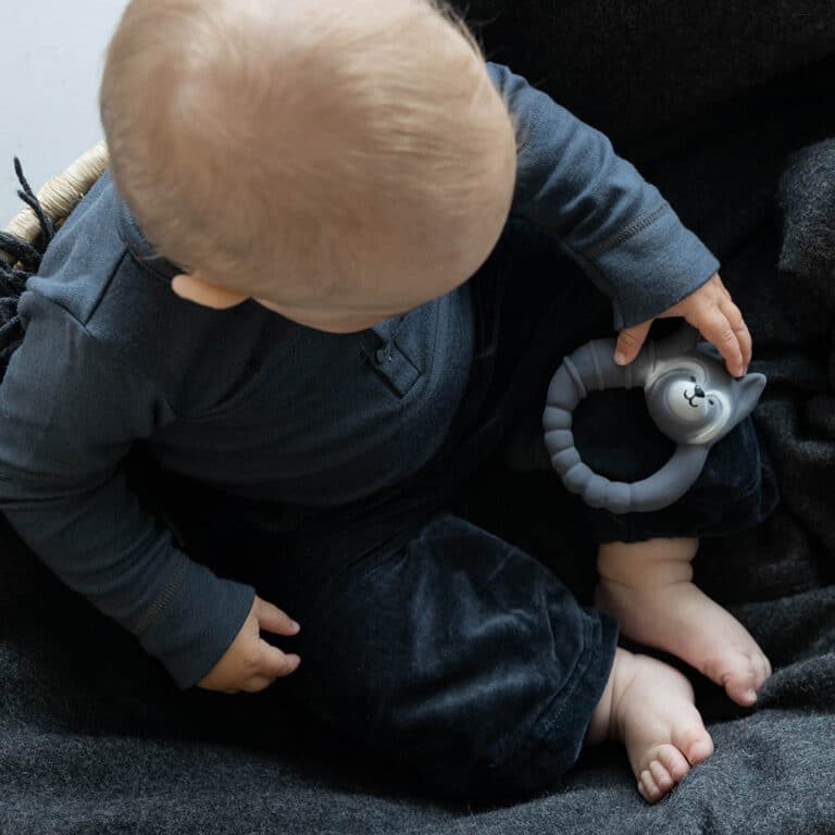 anneau raton laveur avec bébé
