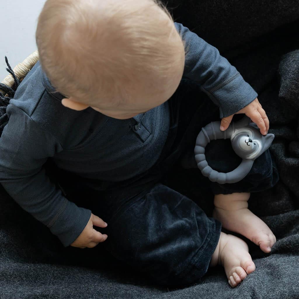 anneau raton laveur avec bébé