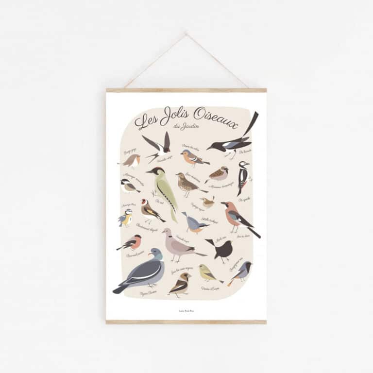 lutin-petit-pois_affiche-les-jolis-oiseaux-du-jardin-2