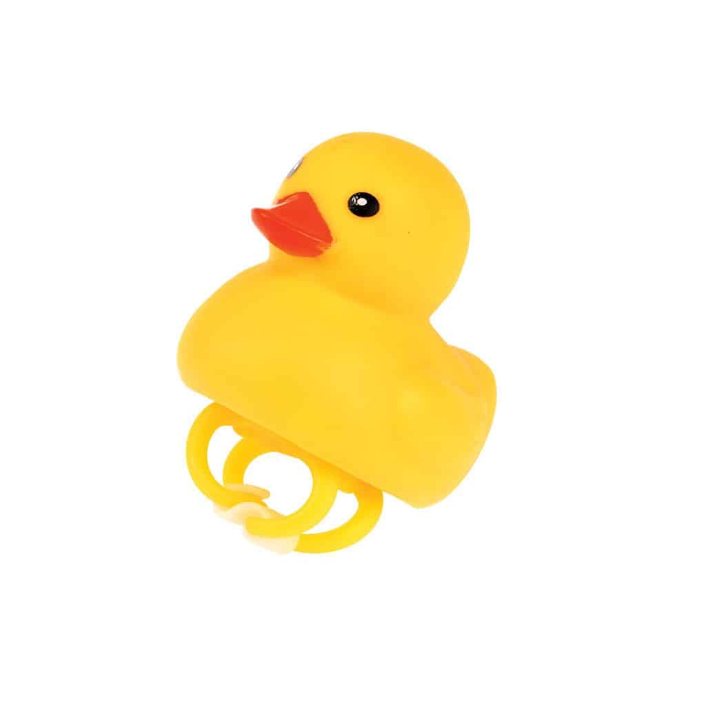 canard