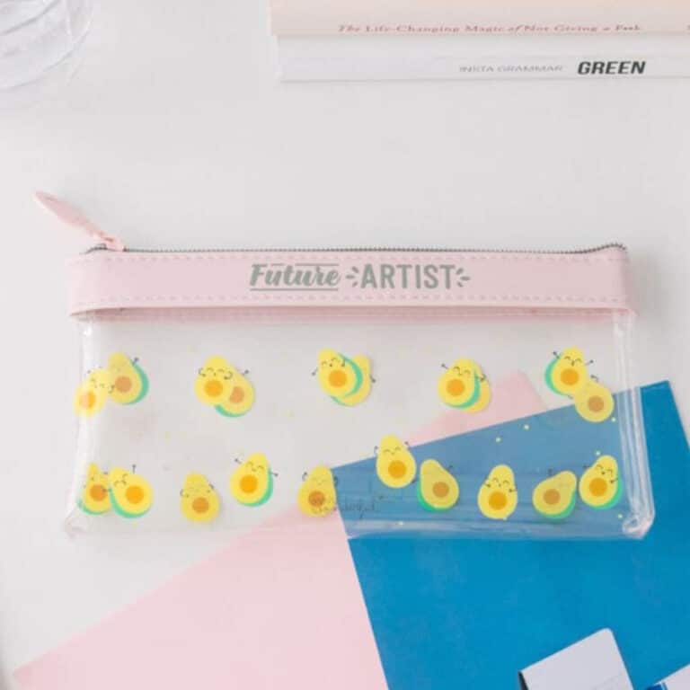 mr-wonderful_trousse-transparente-avocat