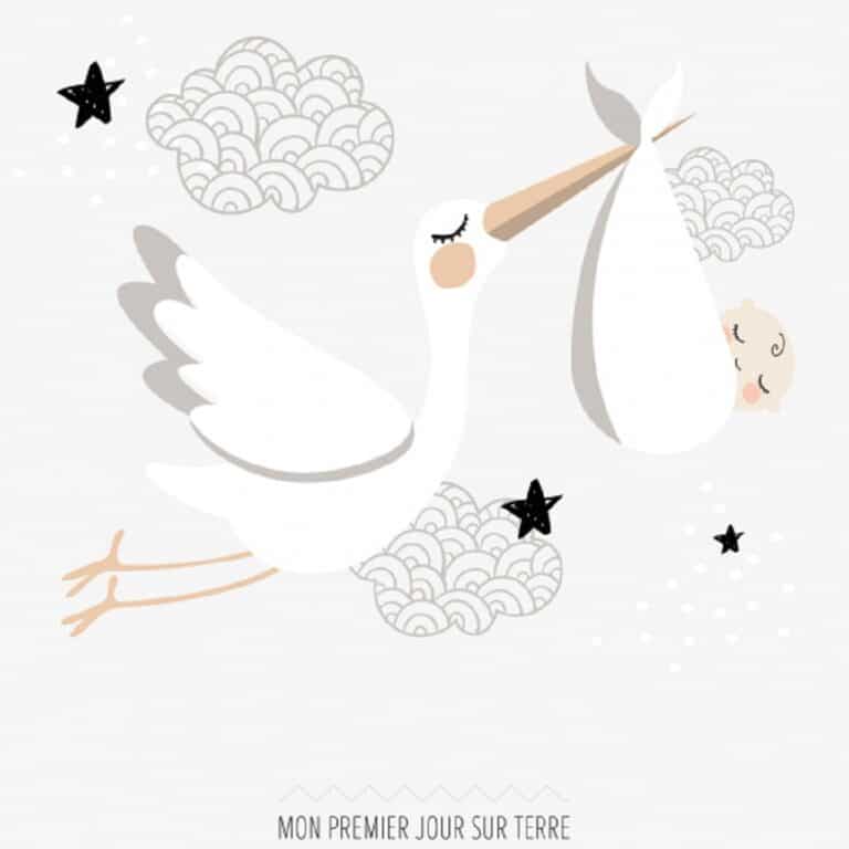 l'affiche des premières fois des petites dates