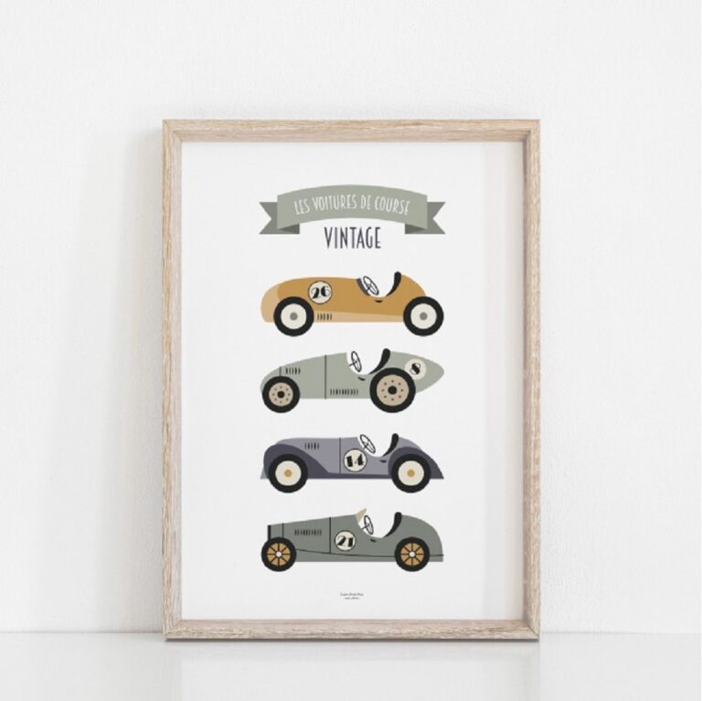 lutin-petit-pois_les-voitures-de-course-saule3