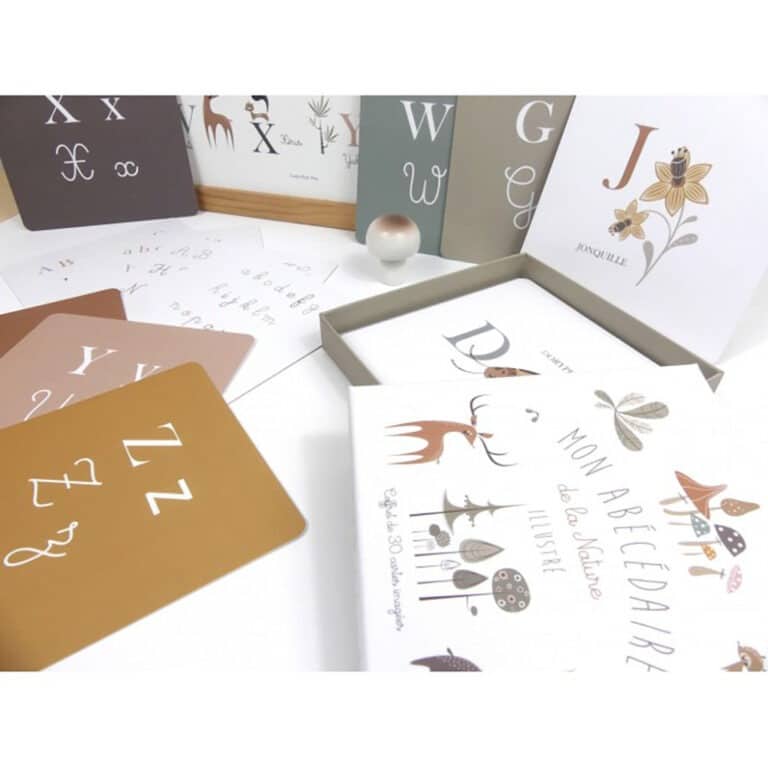 coffret-cartes-alphabet-mon-abecedaire-de-la-nature-illustre2