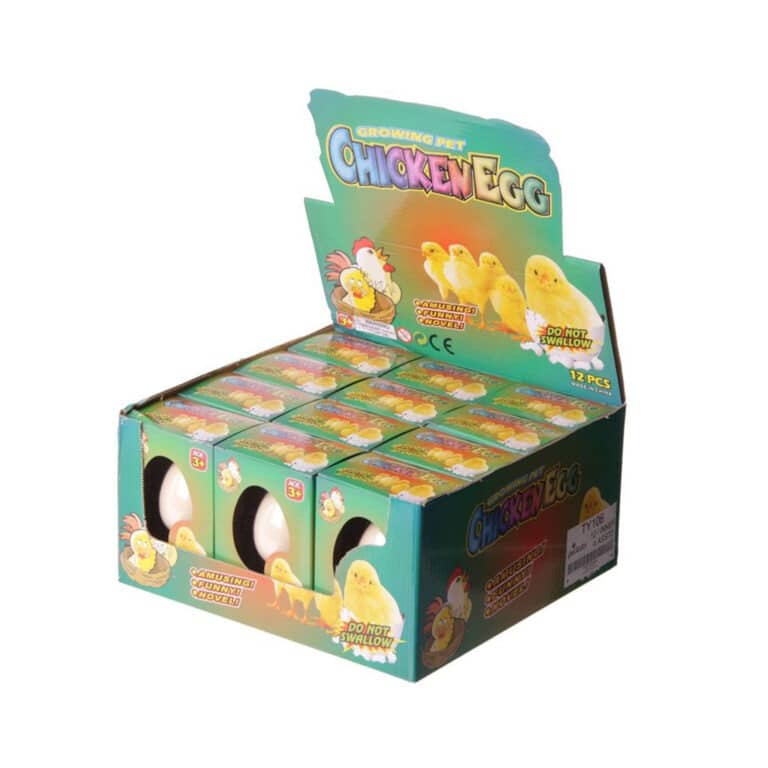 éclosion œuf poussin