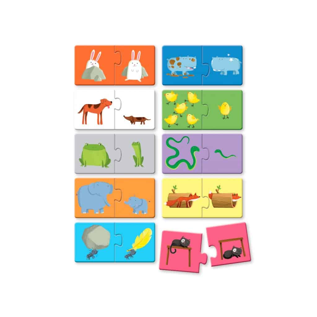SASSI puzzle contraires