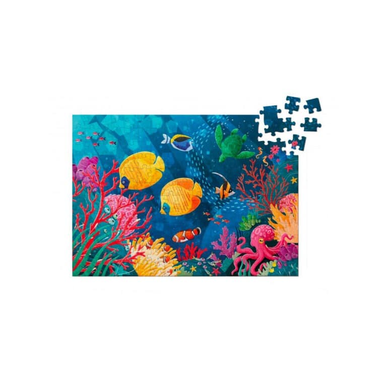 SASSI puzzle recif corallien