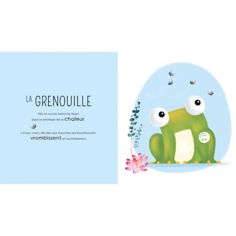 Sassi_les-petits-habitants-de-la-jungle2