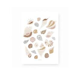 Affiche - Coquillages - Rose Et Bleu