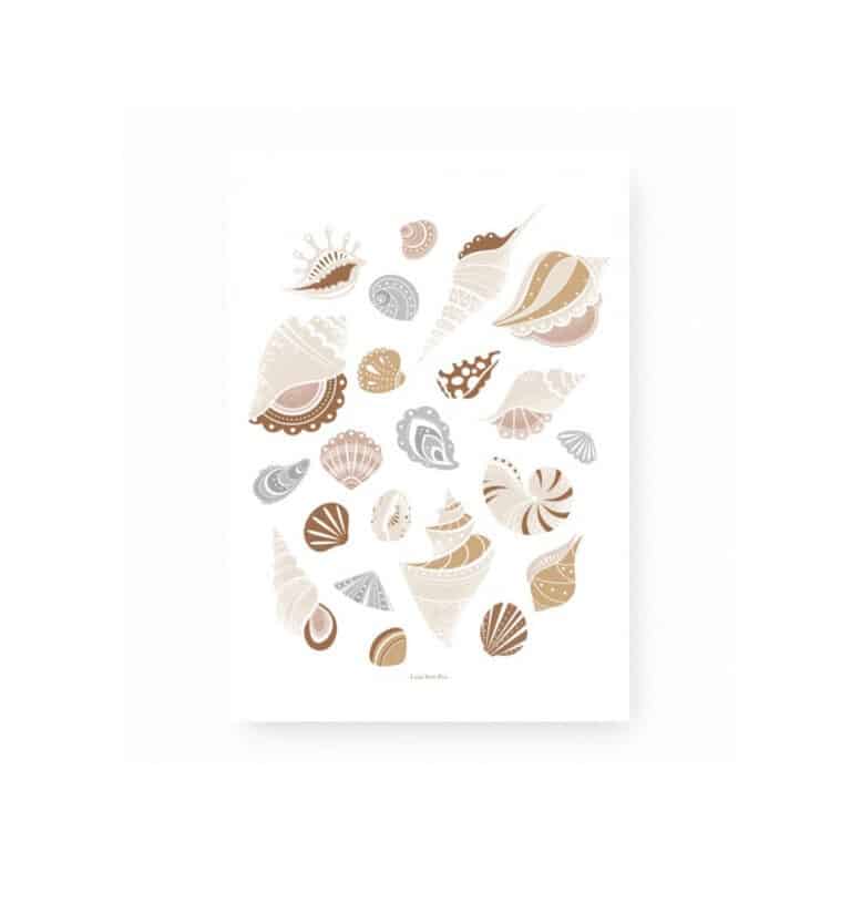 lutin-petits-pois_coquillages