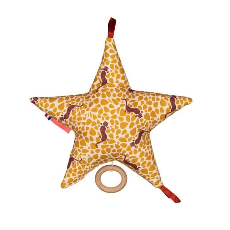 mellipou_etoile-musicale-alicia2