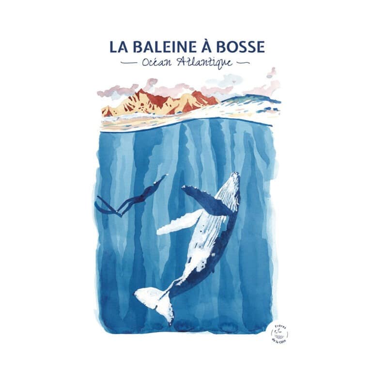 FreresdelaCote_affiche-la-baleine-a-bosse