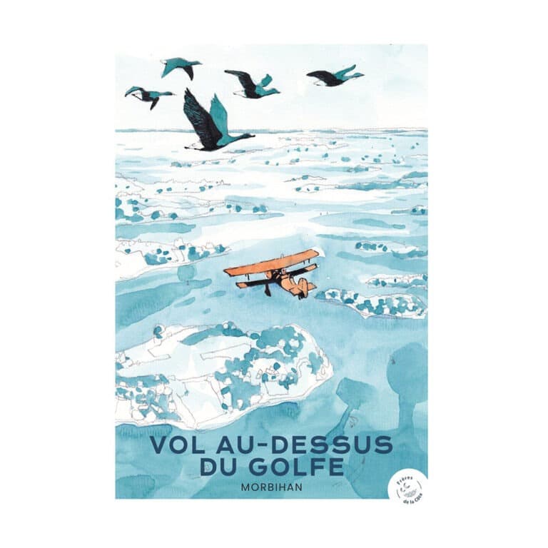 FreresdelaCote_affiche-vol-au-dessus-du-golfe