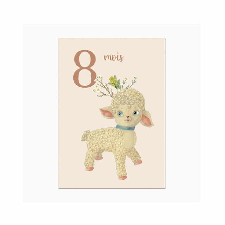 barnabe-aime-le-cafe_cartes-étapes9