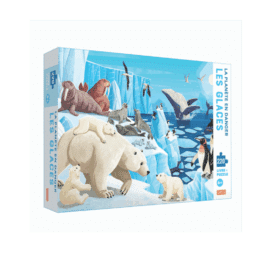 Livre Et Puzzle - Les Glaces