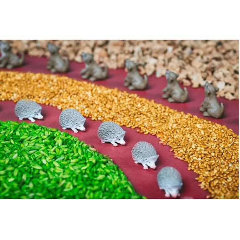 petit-boum_bouteille-sensorielle-foret3