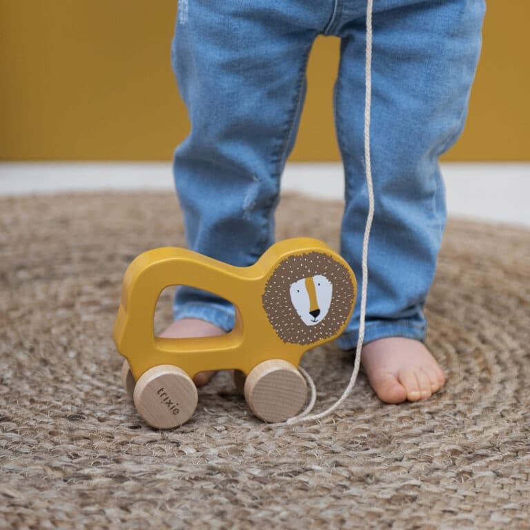 trixie_lion-a-pousser2