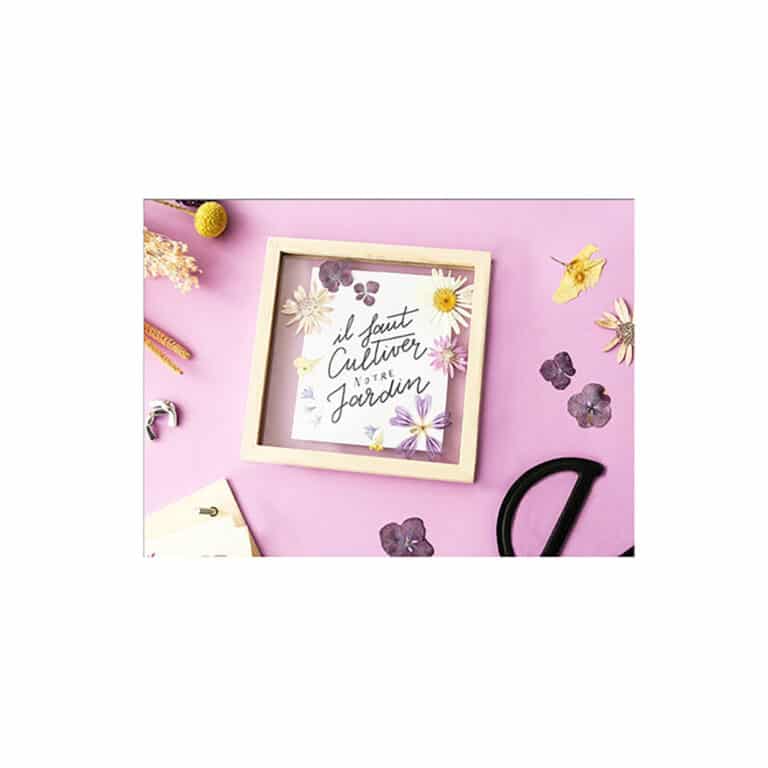 kit mon cadre herbier