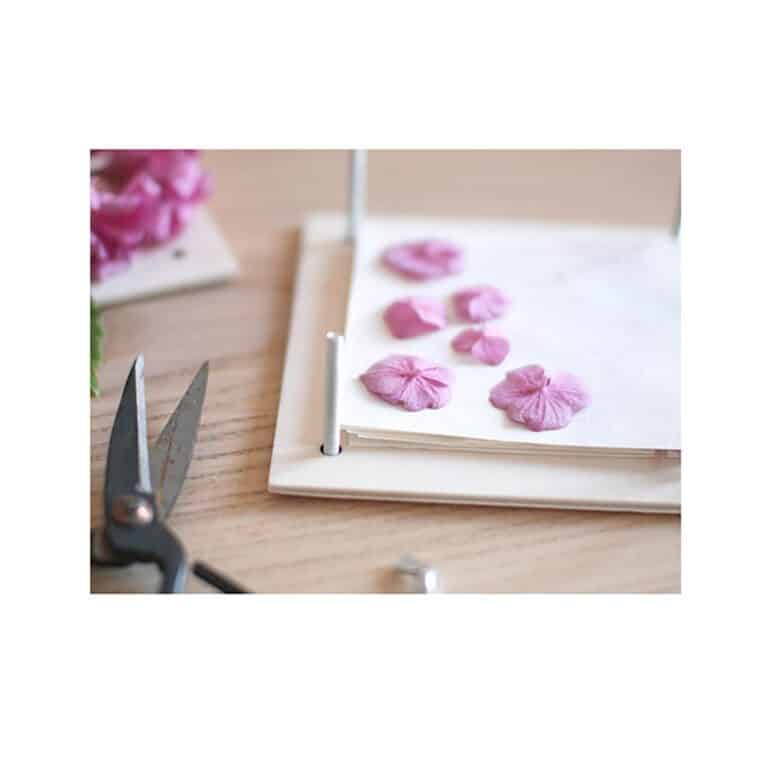 réalisation de l'herbier