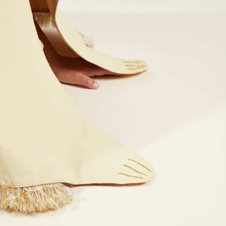 meri-meri_cape-lion5