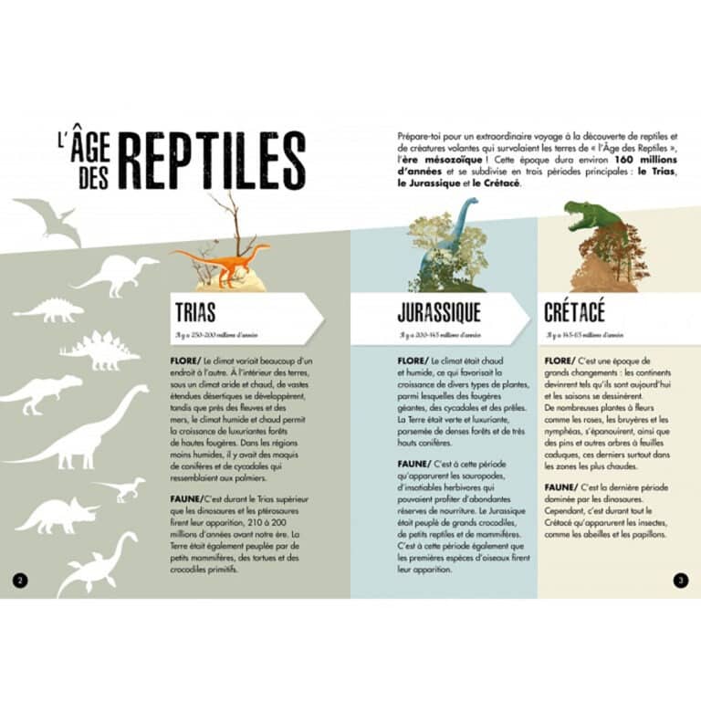 sassi_le-ptéranodon4