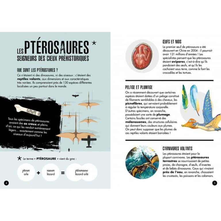 sassi_le-ptéranodon5