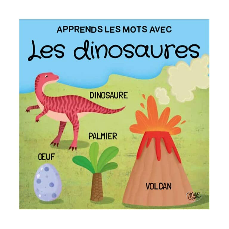 sassi_livre-puzzle-les-dinosaures-40p3