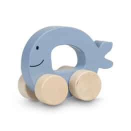 voiture poisson bleue