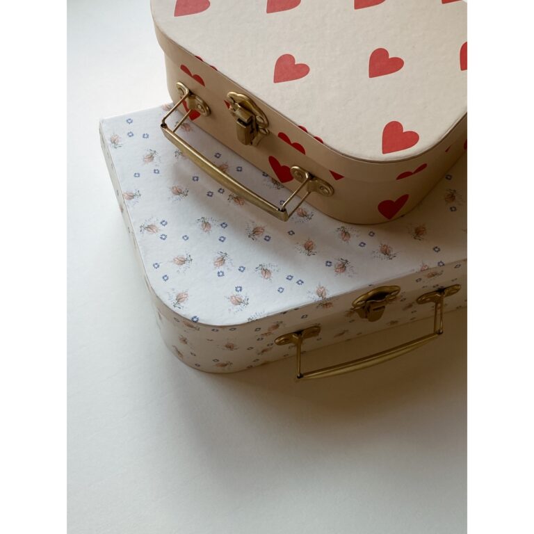 konges_valisette-mon-amour-brise-ete3