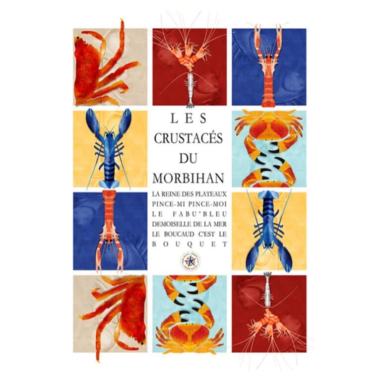 carte damier crustacés, vue de face sur fond blanc