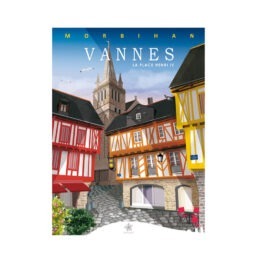 carte place Henri à Vannes, vue de face sur fond blanc