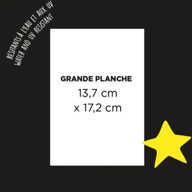 stickers réfléchissants dino rainette détail dimensions