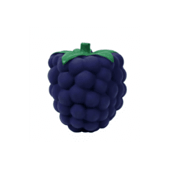 jouet sensoriel en forme de mûre