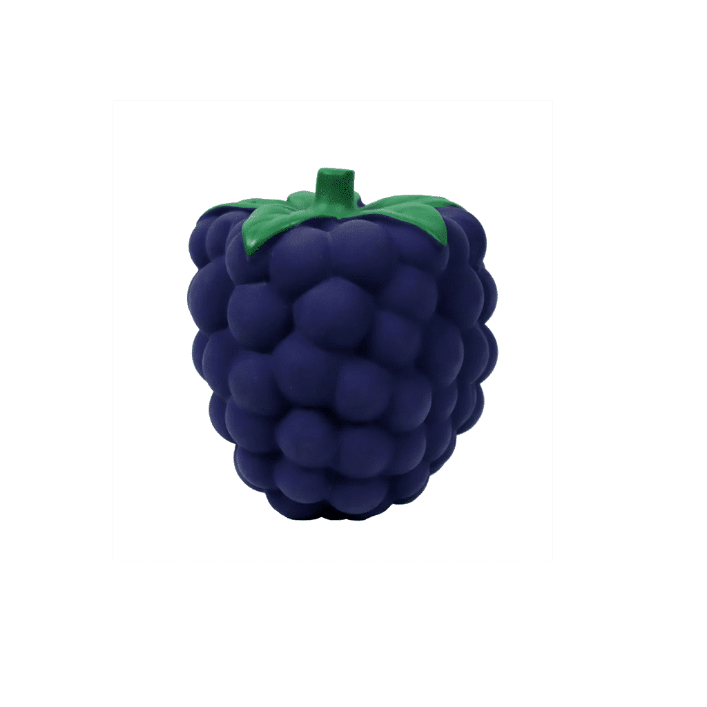 jouet sensoriel en forme de mûre