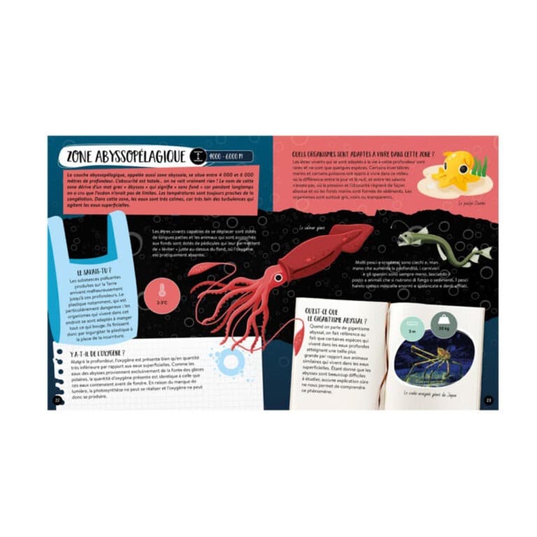 sassi_coffret-méga-atlas-mer5