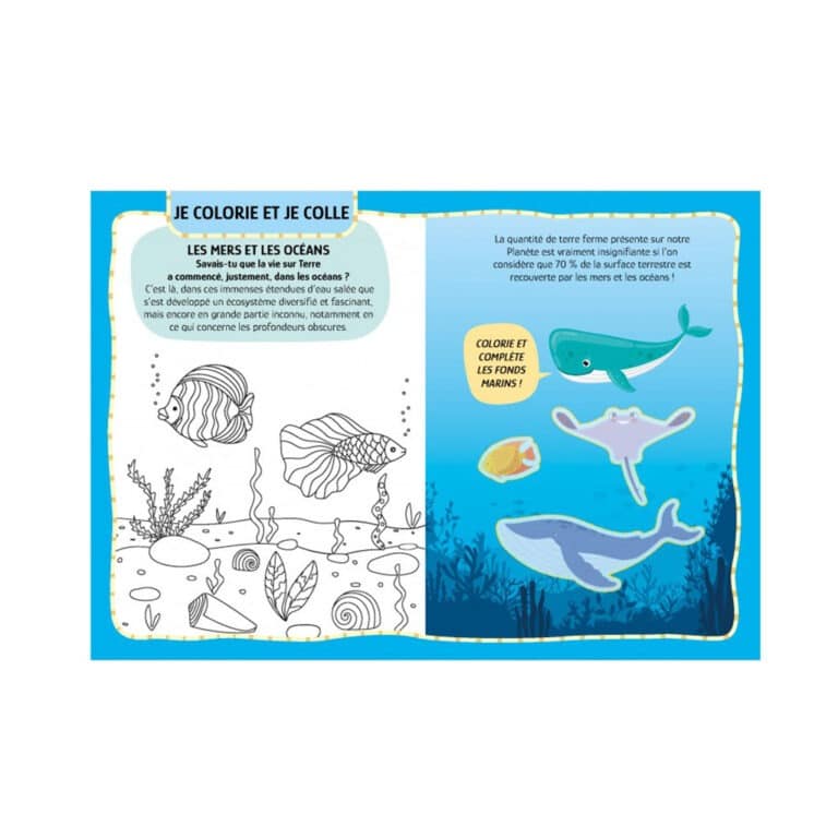 sassi_la-mer-arts-and-crafts6