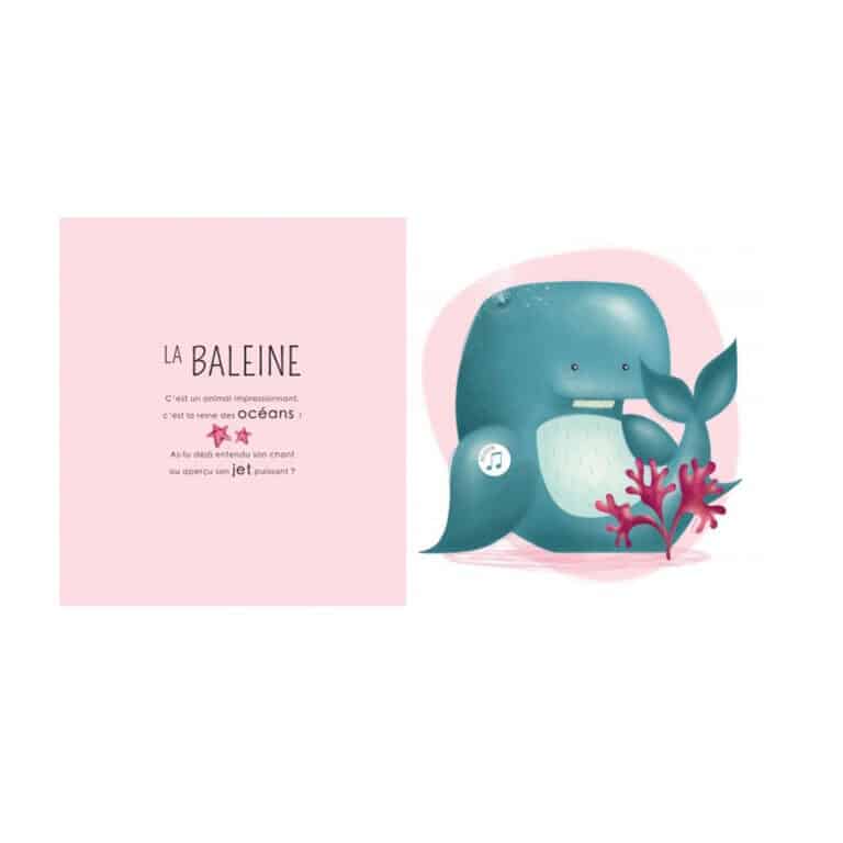 sassi_les-petits-habitants-de-la-mer3