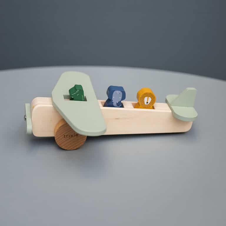 avion animaux en bois sur table bleu